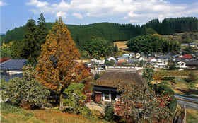 kĎOYLO
