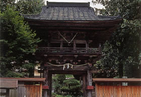 莛